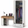 Письменный стол Вуди и платяной шкаф цвет белый премиум/дуб крафт золотой