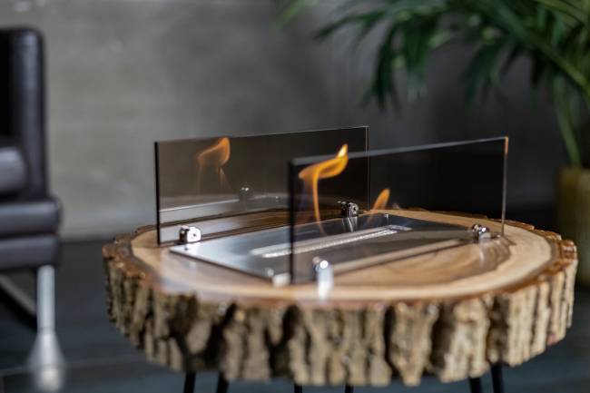 Catterheim Forest Catterheim Forest